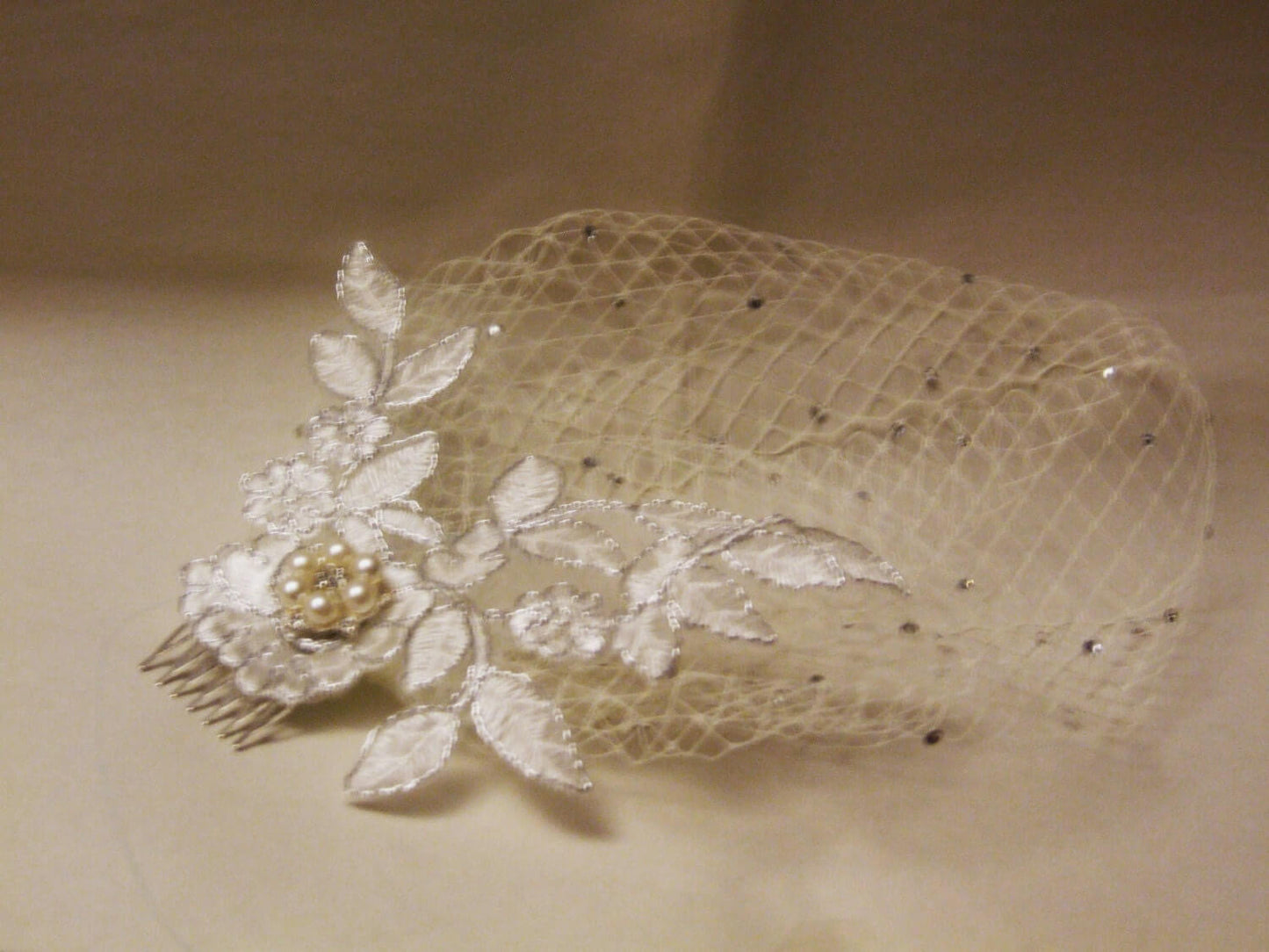 Velo a gabbia per uccelli Velo da sposa a gabbia per uccelli Fascinator in pizzo con filo d'ARGENTO, Argento, Nero, Bianco e Avorio Velo francese a rete, cristallo o perla