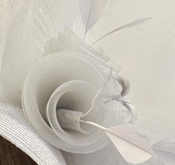 Bridal Birdcage Veil Fascinator: White Feather Wedding Headpiece